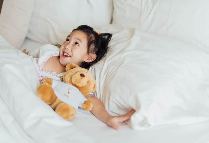 اتاق پرمیوم, Seda Centrio