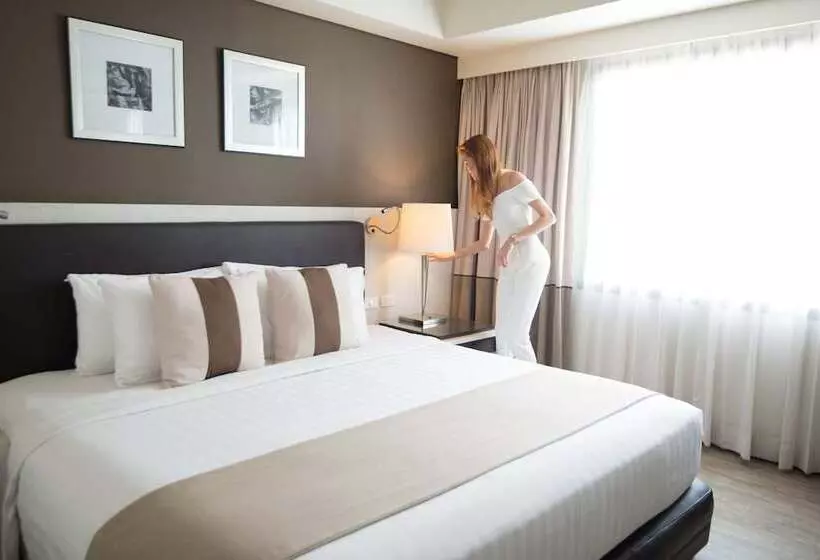 اتاق کلاب, Seda Centrio