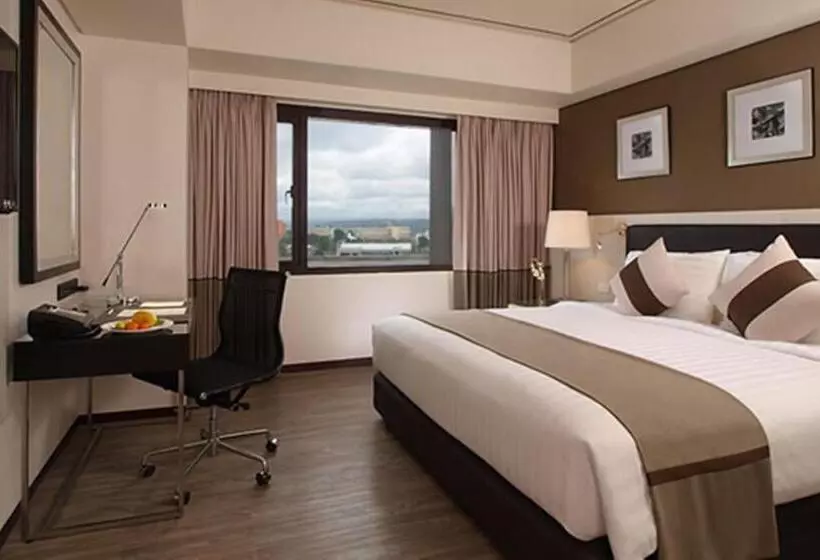 اتاق کلاب, Seda Centrio