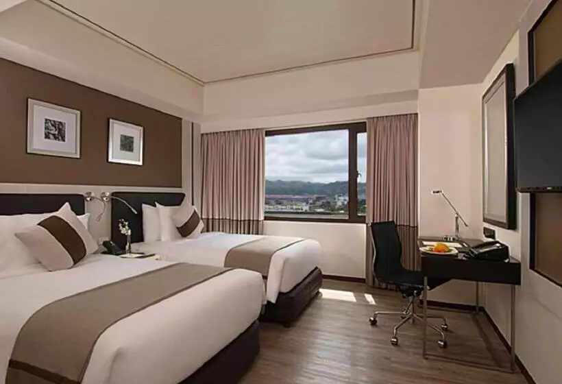 اتاق کلاب, Seda Centrio