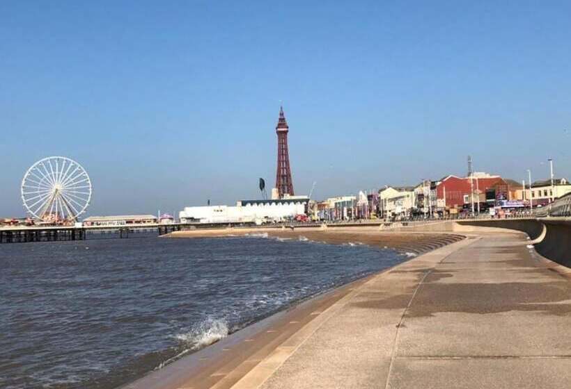 חדר סופריור, OYO Wave Crest