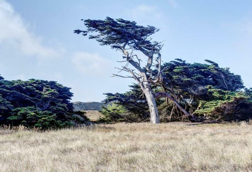 스탠다드 스튜디오, Bayside Cottage