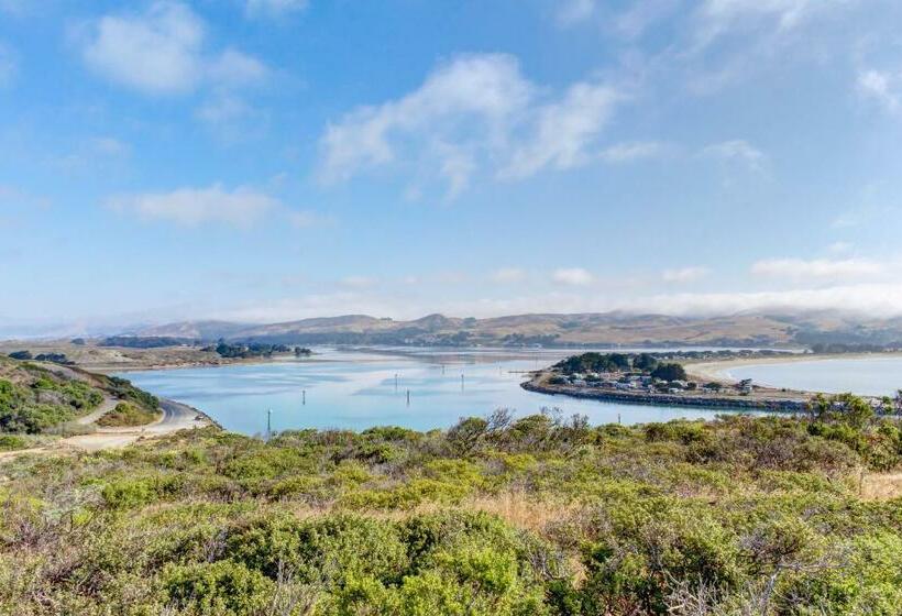 스탠다드 스튜디오, Bayside Cottage