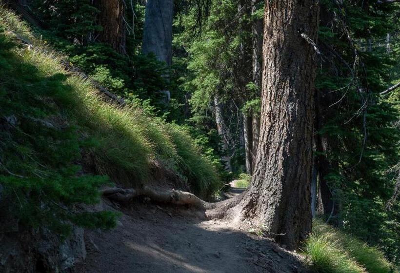 إستوديو قياسى, Sun Valley Atelier Studio  Serenade