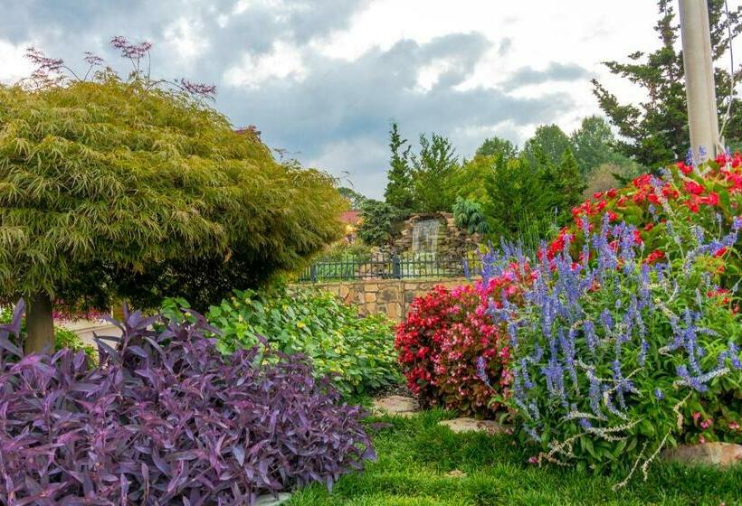 חדר סטודיו סטנדרד, Idlewild