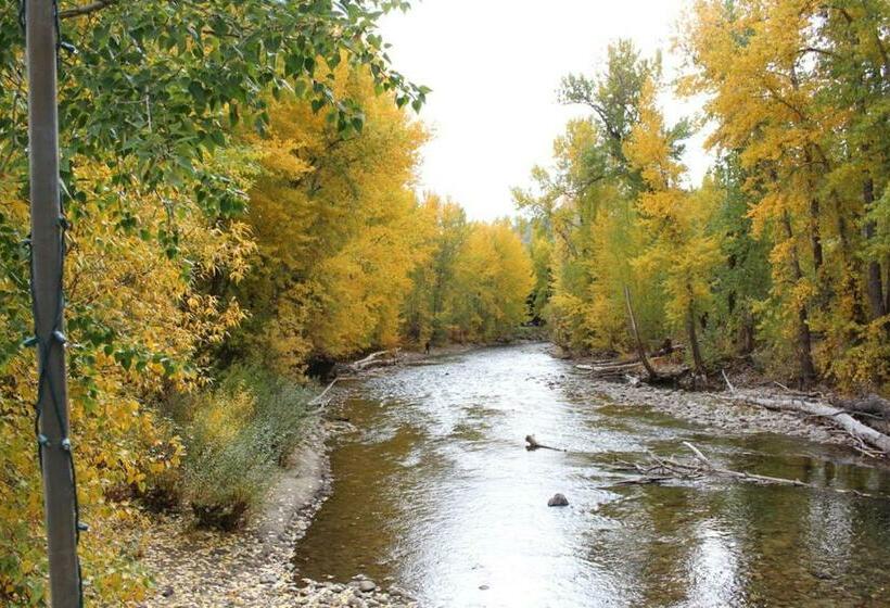 شقة غرفة واحدة, Warm Springs Wonder