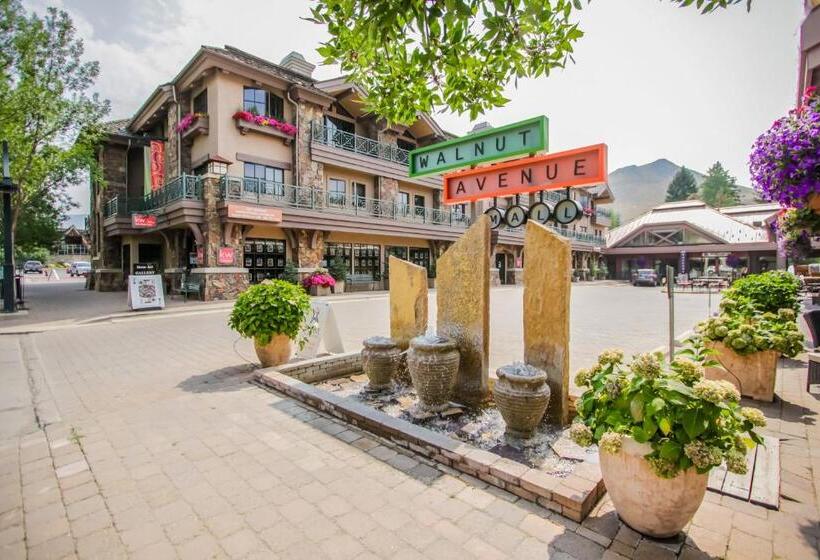 شقة غرفة واحدة, Warm Springs Wonder