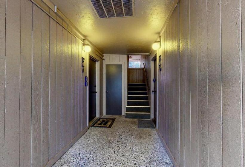 شقة غرفة واحدة, Warm Springs Wonder