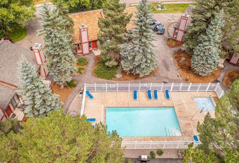 شقة غرفتين, Whitefish Memories