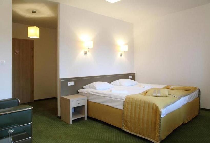 带1个卧室的公寓, Arche Hotel Siedlce