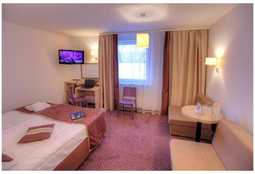 带1个卧室的公寓, Arche Hotel Siedlce