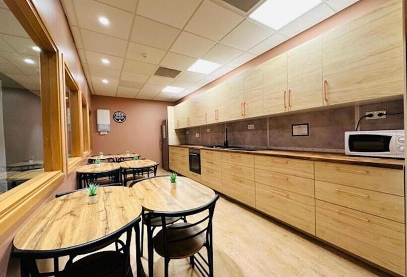 تختخواب در اتاق مشترک, Bus Hostel Reykjavik   Reykjavik Terminal