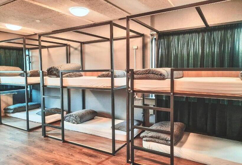 تختخواب در اتاق مشترک, Bus Hostel Reykjavik   Reykjavik Terminal