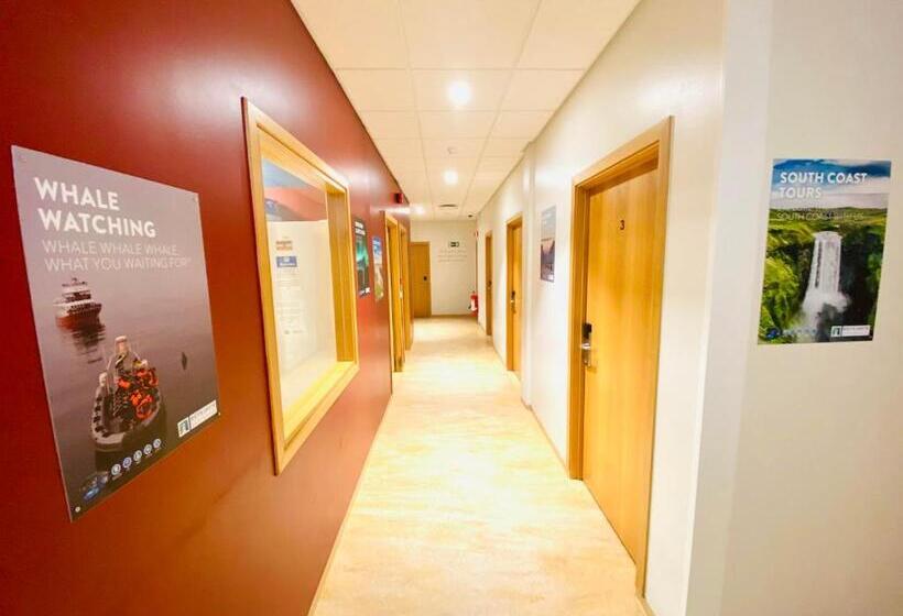 تختخواب در اتاق مشترک, Bus Hostel Reykjavik   Reykjavik Terminal