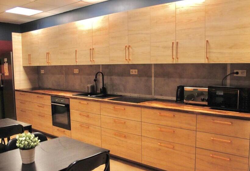 اتاق استاندارد با سرویس بهداشتی مشترک, Bus Hostel Reykjavik   Reykjavik Terminal