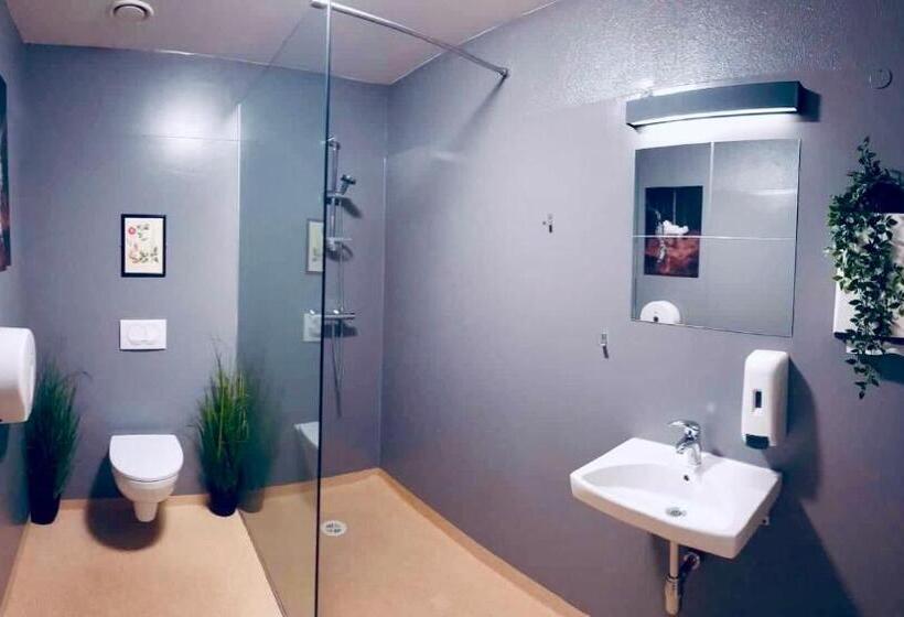 اتاق استاندارد با سرویس بهداشتی مشترک, Bus Hostel Reykjavik   Reykjavik Terminal