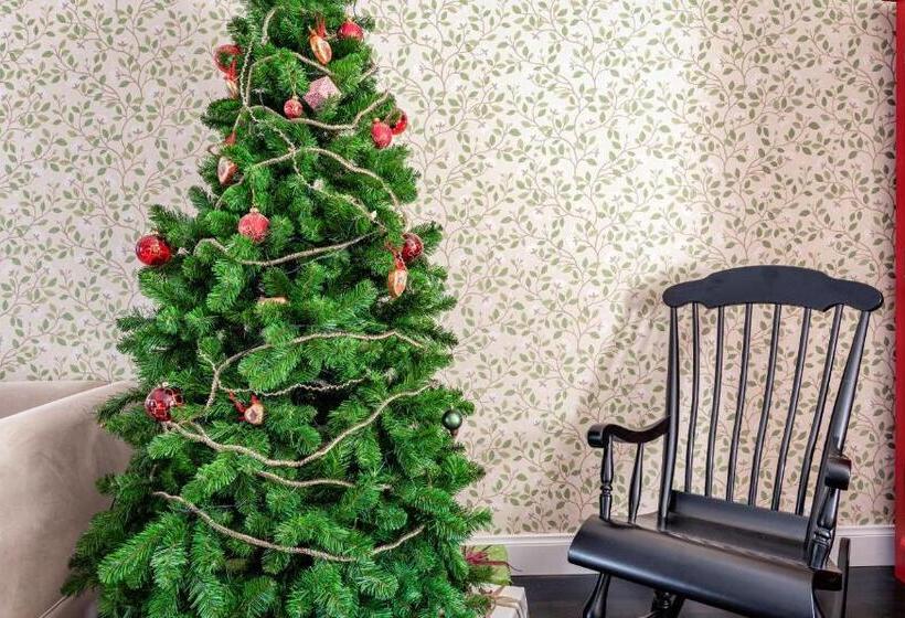 جناح جونيور عائلى, Arctic Light