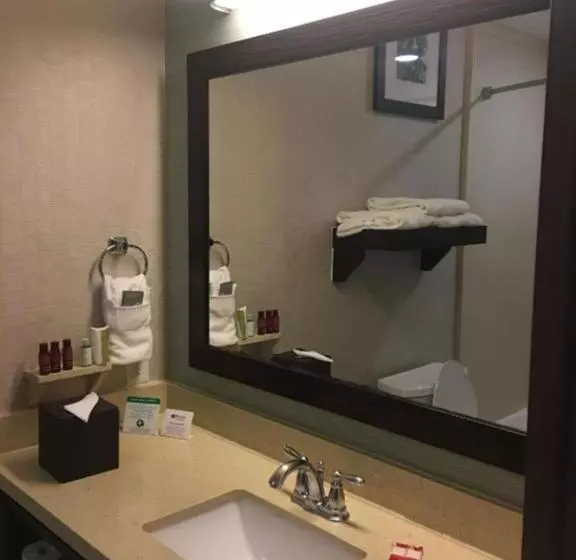 身障者適用スイートルーム, Best Western Premier Ashton Suiteswillowbrook