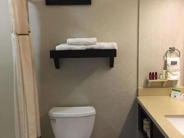 سوئیت برای معلولان, Best Western Premier Ashton Suiteswillowbrook