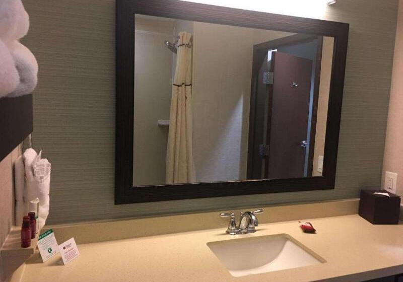 سوئیت با تخت بزرگ, Best Western Premier Ashton Suiteswillowbrook