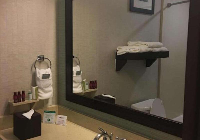 سوئیت با تخت بزرگ, Best Western Premier Ashton Suiteswillowbrook