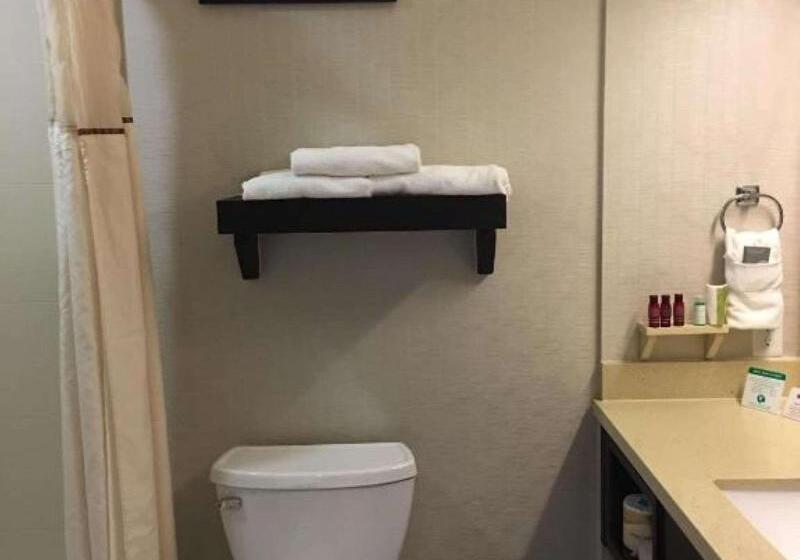 سوئیت با تخت بزرگ, Best Western Premier Ashton Suiteswillowbrook