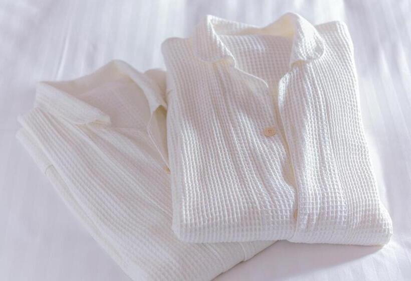 Номер Superior с Видом, Mystays Asakusabashi