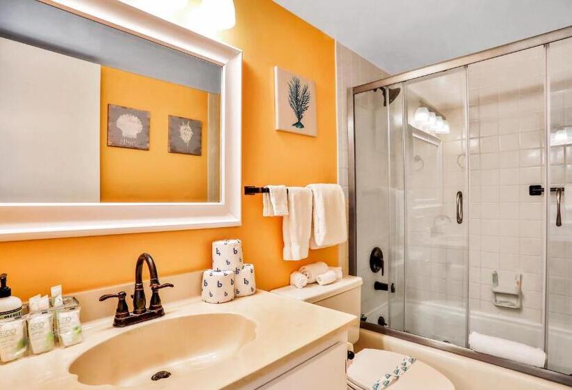 شقة غرفتين, Top Floor At The Shores