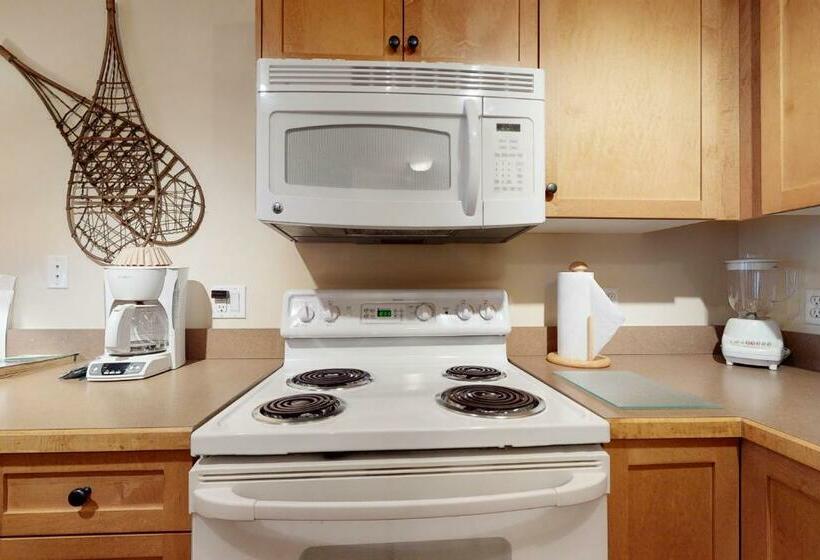 침실 1개 아파트, Copper Springs Lodge 430