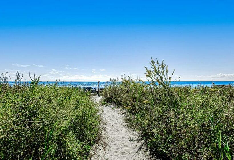 استودیوی استاندارد, Baby Breezy Tree House