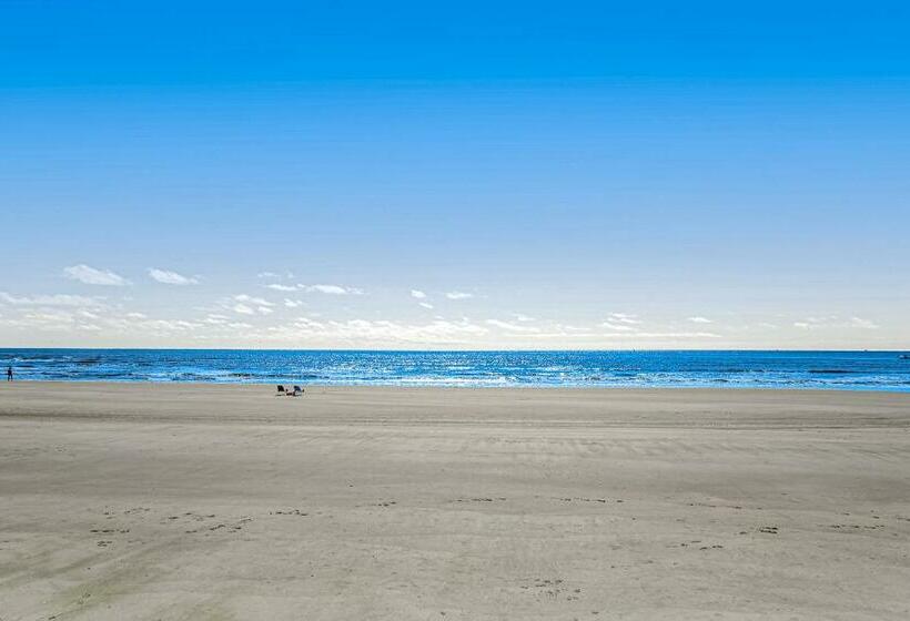 استودیوی استاندارد, Baby Breezy Tree House