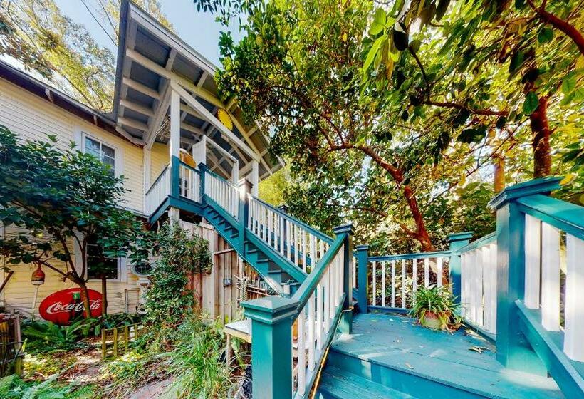 استودیوی استاندارد, Baby Breezy Tree House