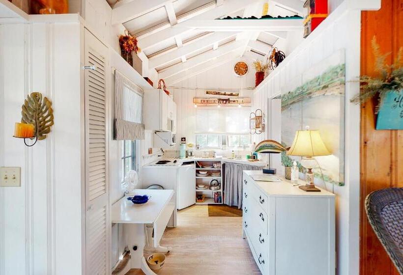 استودیوی استاندارد, Baby Breezy Tree House