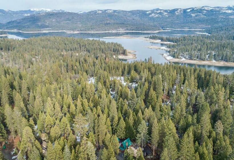 Студия Стандарт, Elevation Station