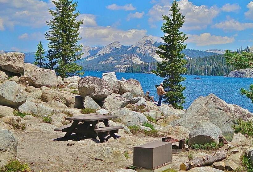 Студия Стандарт, Elevation Station