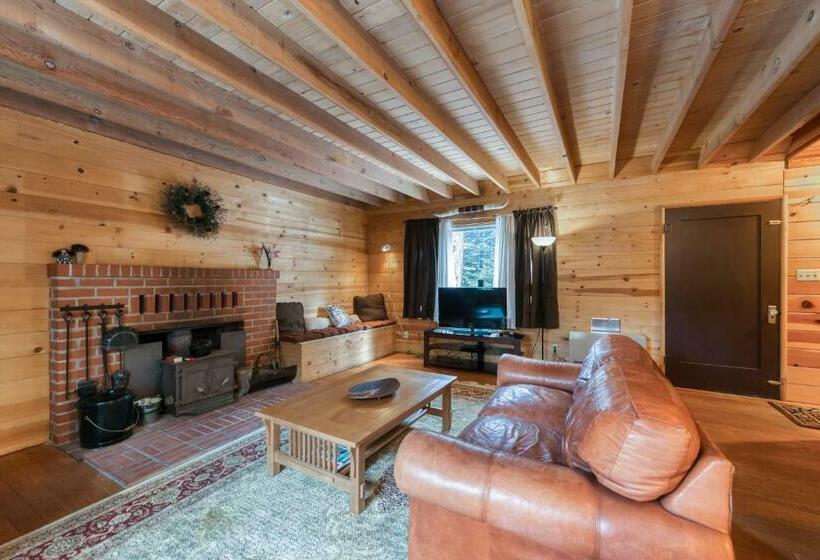 Студия Стандарт, Elevation Station