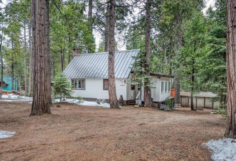 Студия Стандарт, Elevation Station