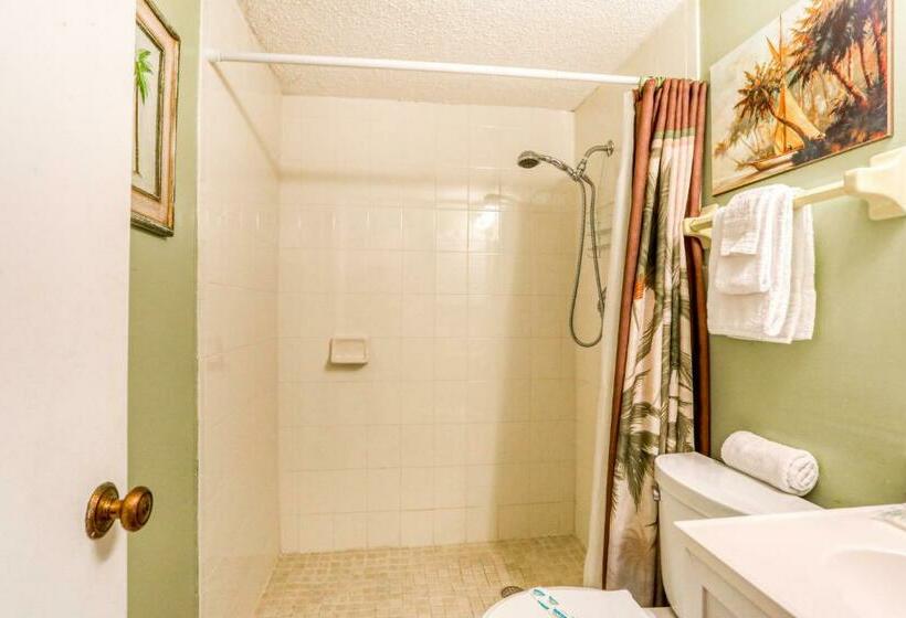 آپارتمان 2 خوابه, Spanish Trace 235