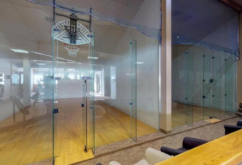 2ベッドルームアパートメント, Meadow Mile Magic