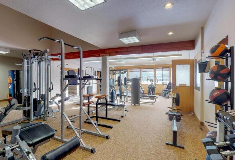 2ベッドルームアパートメント, Meadow Mile Magic