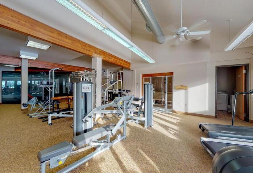 2ベッドルームアパートメント, Meadow Mile Magic