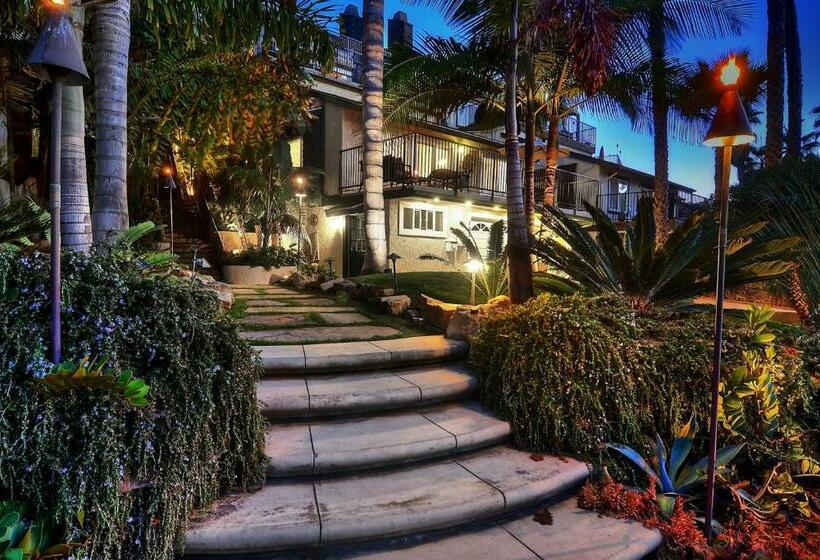 شقة غرفتين, North Beach C