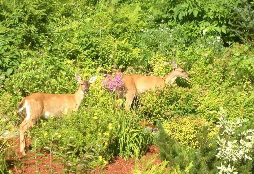 إستوديو قياسى مطل على البحر, Kelli Creek Cottage   Reduced Price On Tours