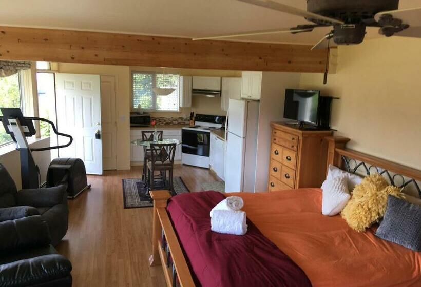 إستوديو قياسى مطل على البحر, Kelli Creek Cottage   Reduced Price On Tours