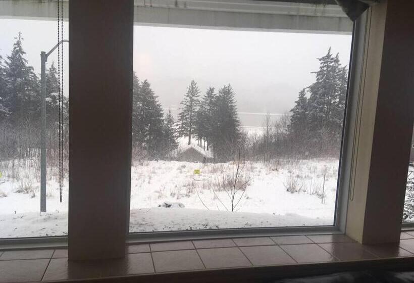 إستوديو قياسى مطل على البحر, Kelli Creek Cottage   Reduced Price On Tours