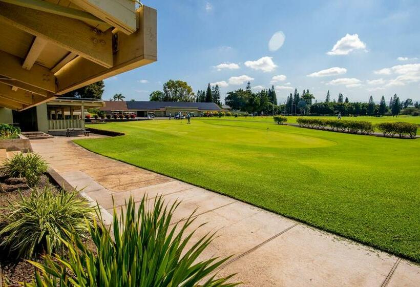 شقة غرفة واحدة, Waikoloa Villages E108