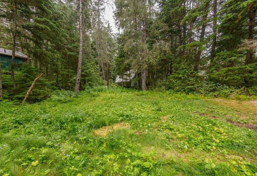 إستوديو قياسى, Alohalaska Studio