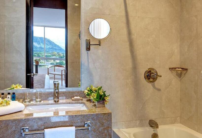 주니어 스위트, Estelar Yopal