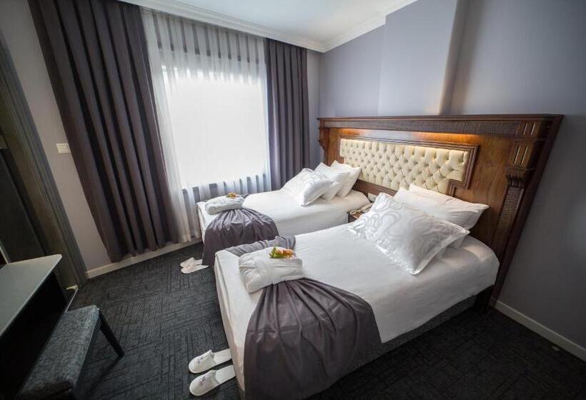 Camera Standard Vista Città, Funda