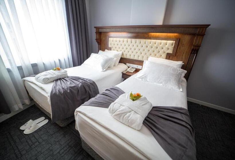 Camera Standard Vista Città, Funda